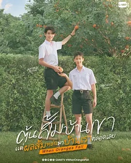 当橘子掉落时——完美广播